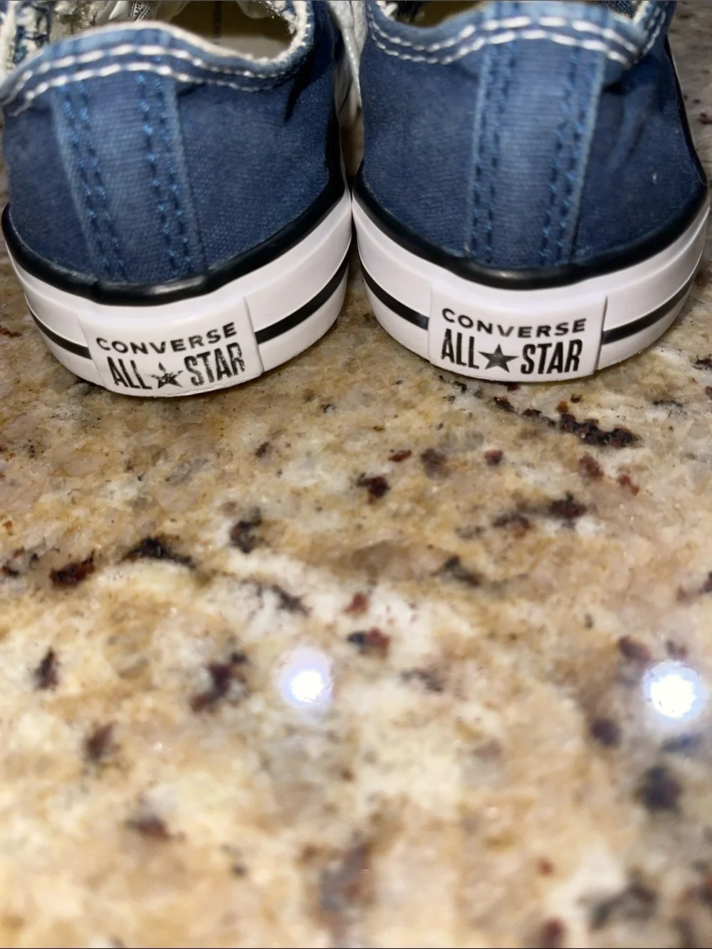 Converse All Star Low Top Sneakers in Navy Blue